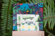 Load image into Gallery viewer, Dinosaur Pack