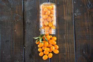 Kumquat