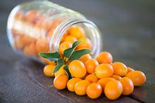 Load image into Gallery viewer, Kumquat
